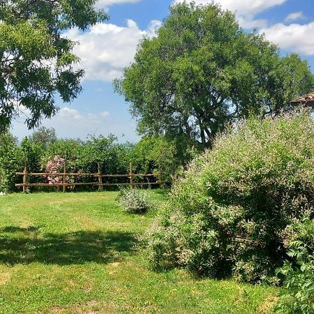Casolare Di Campagna Villa Viterbo Eksteriør billede
